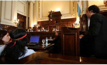 La Corte frena por 90 días la tala de bosques en Salta