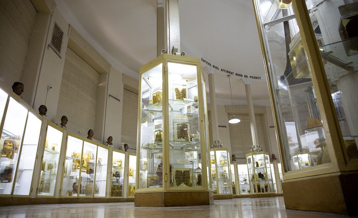 Museo Forense: un espacio de interés jurídico y científico